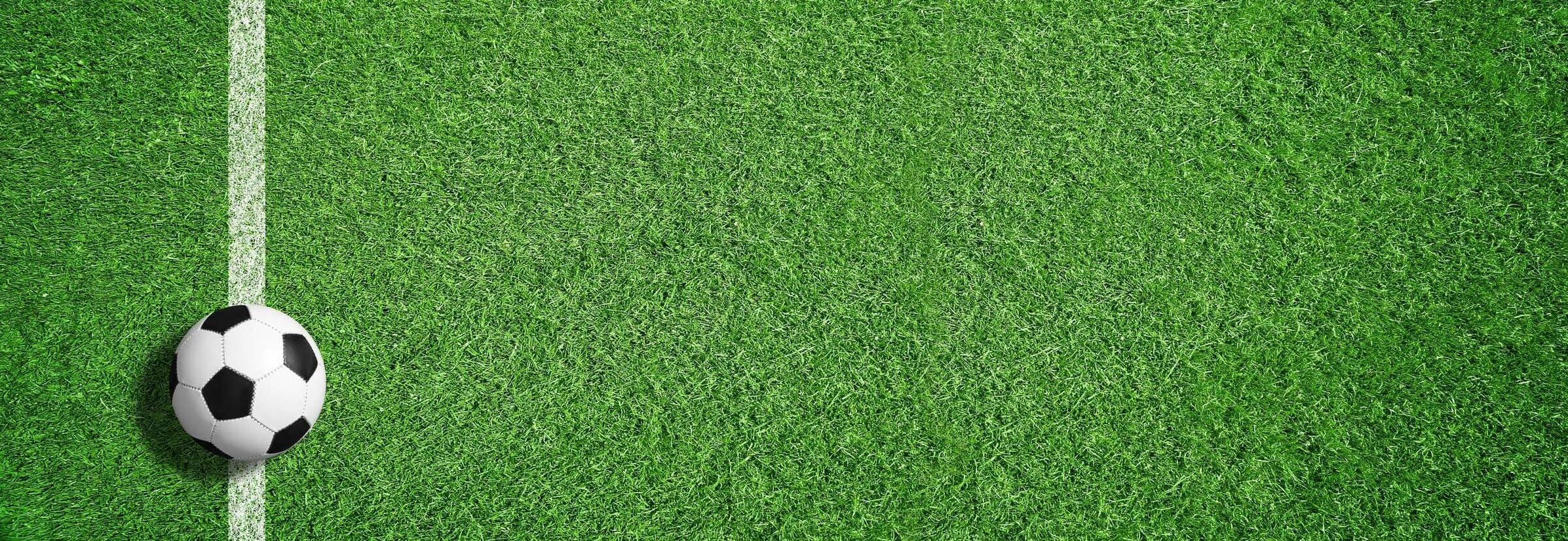 Fussball auf der Linie liegend, grüner Raser im Hintergrund